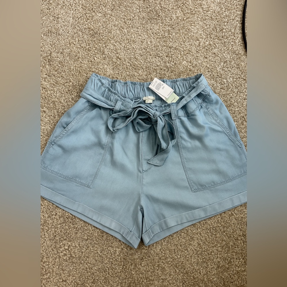Aerie Super Soft Light Blue Ruffled Shorts - Size Medium - New with Tags